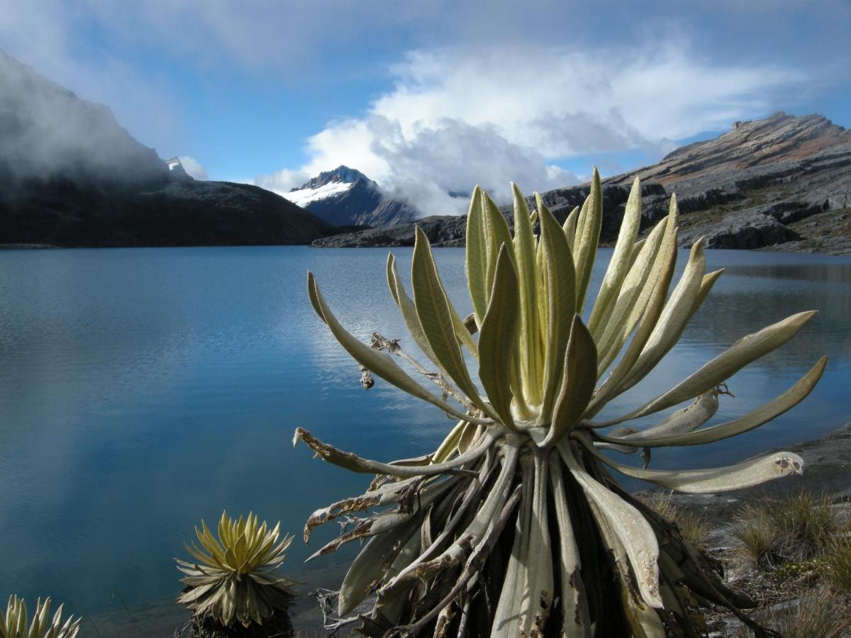 Hostal El Caminante El Cocuy Bagian luar foto